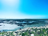 A coastal landscape features a rocky foreground with patches of grass and vegetation. In the distance, wind turbines line the horizon against a clear blue sky. The scene captures a marshy area with shallow water channels and sparse greenery.