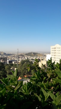 Aerial view of a vibrant cityscape with greenery.