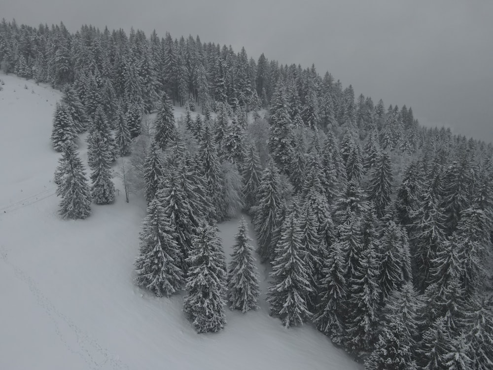 a ski slope covered in lots of snow