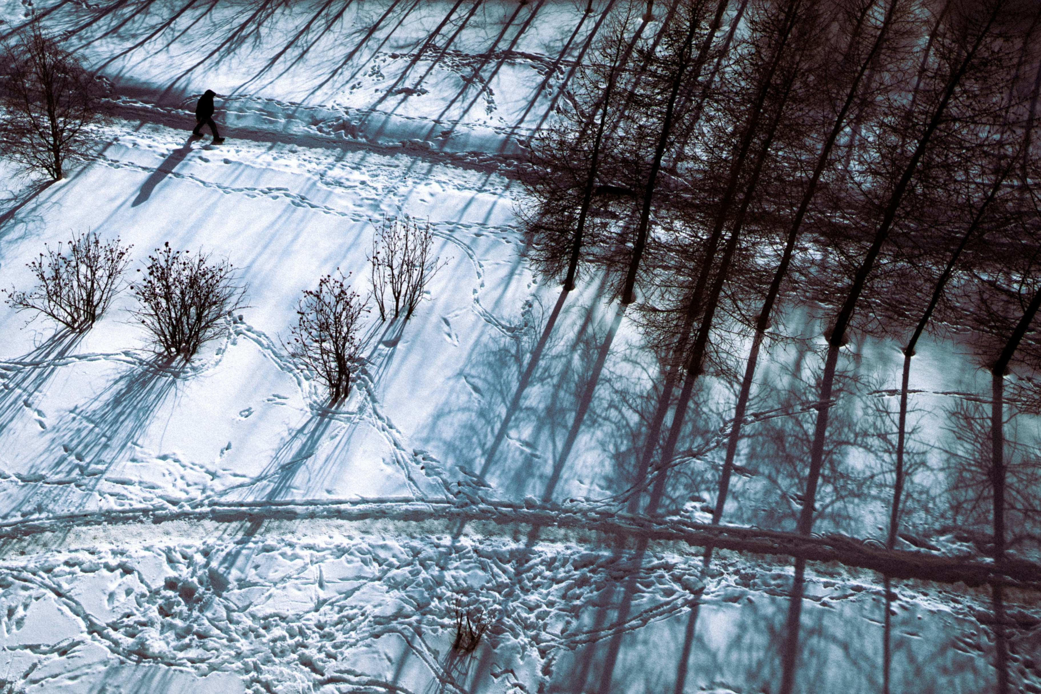 Photo by shklyaevmax