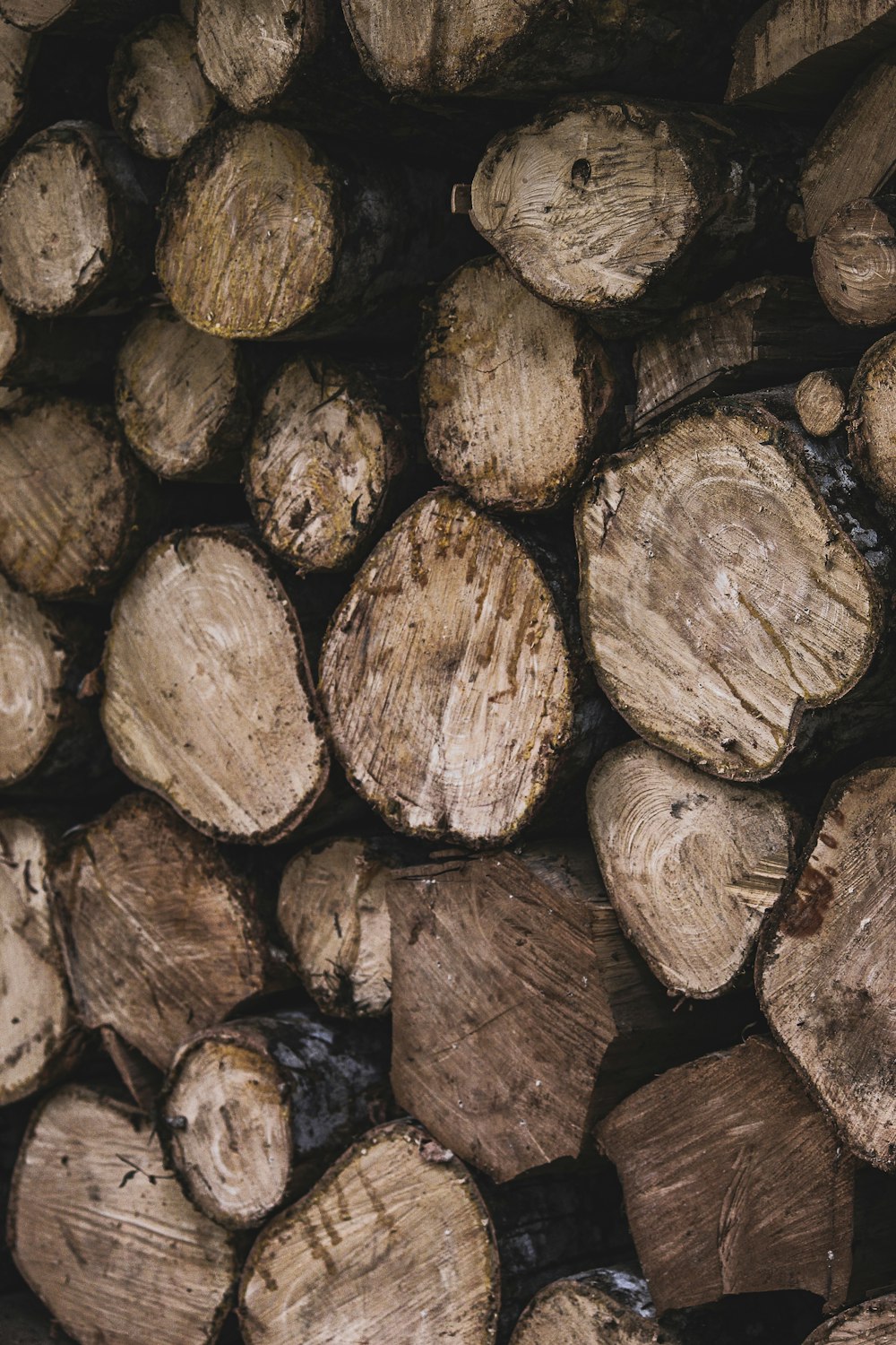 a pile of wood that has been cut in half