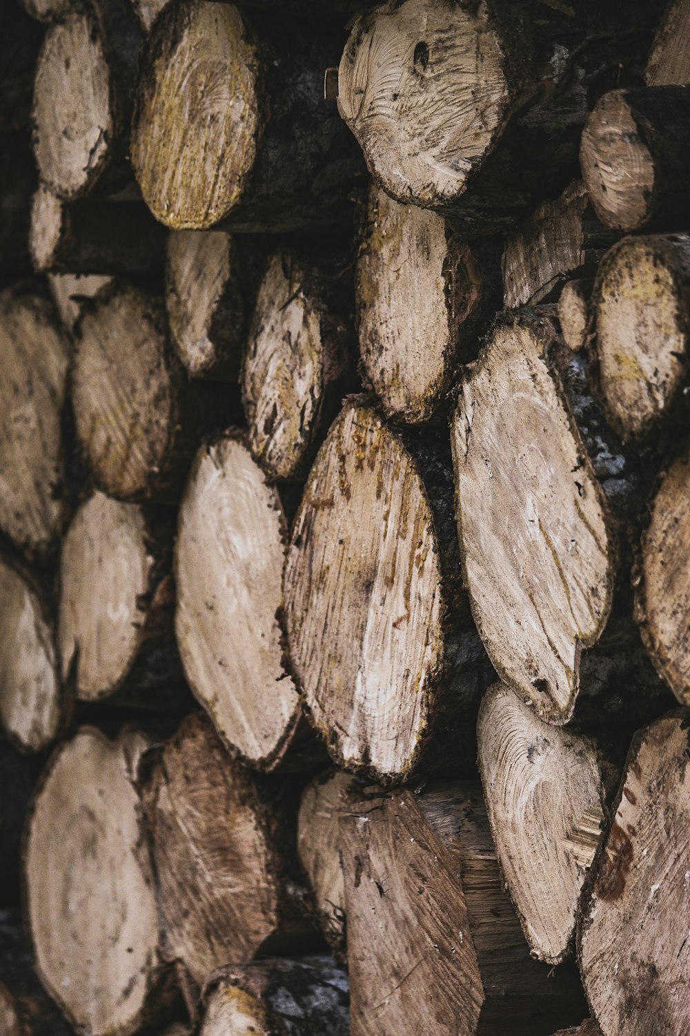 a close up of a pile of logs