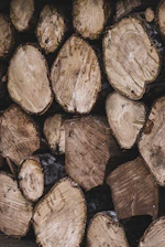 A stack of cut logs with visible tree rings and rough, uneven surfaces. The logs are piled on top of each other in a rustic setting. The wood appears to be weathered, with various shades of brown and some areas showing bark.