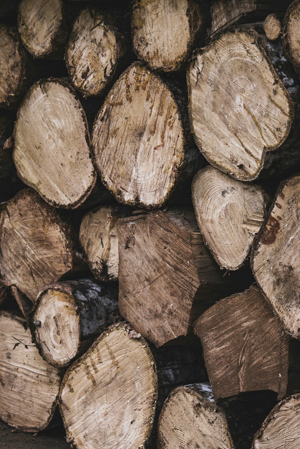 a pile of wood that has been cut in half