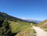Panoramic shot of the Dolomites under a clear blue sky with a winding mountain path