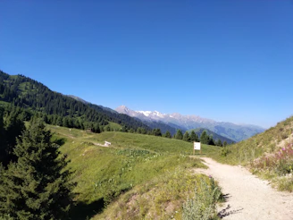 A panoramic mountain view with clear blue skies and a winding trail inviting adventure.