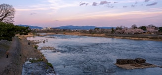 A serene riverside scene in Dali, with Lou Dawei playing guitar under a blooming cherry tree.