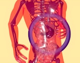 a skeleton with a purple ring around it's neck