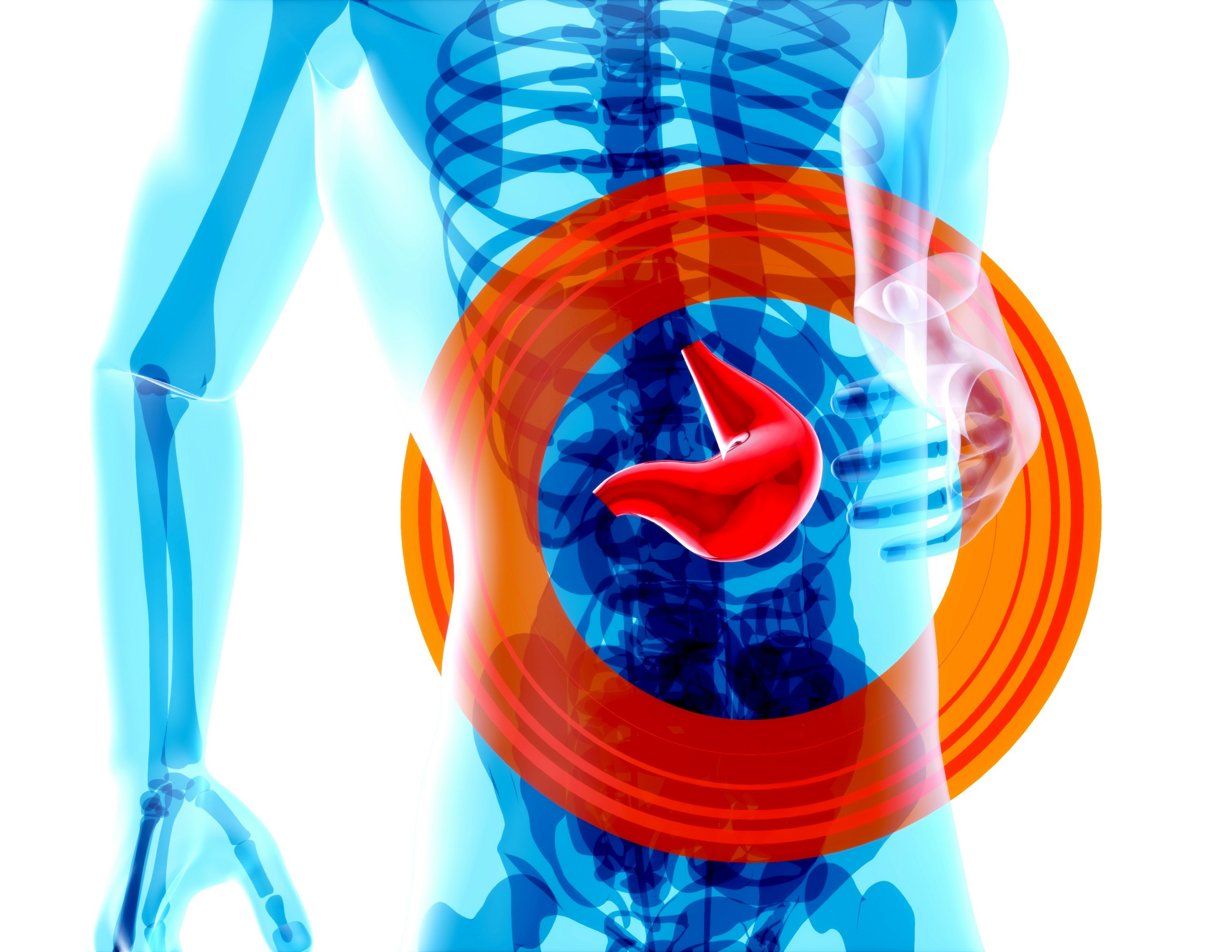 7 Proven Signs Your Digestive System Is Struggling With Oxalates