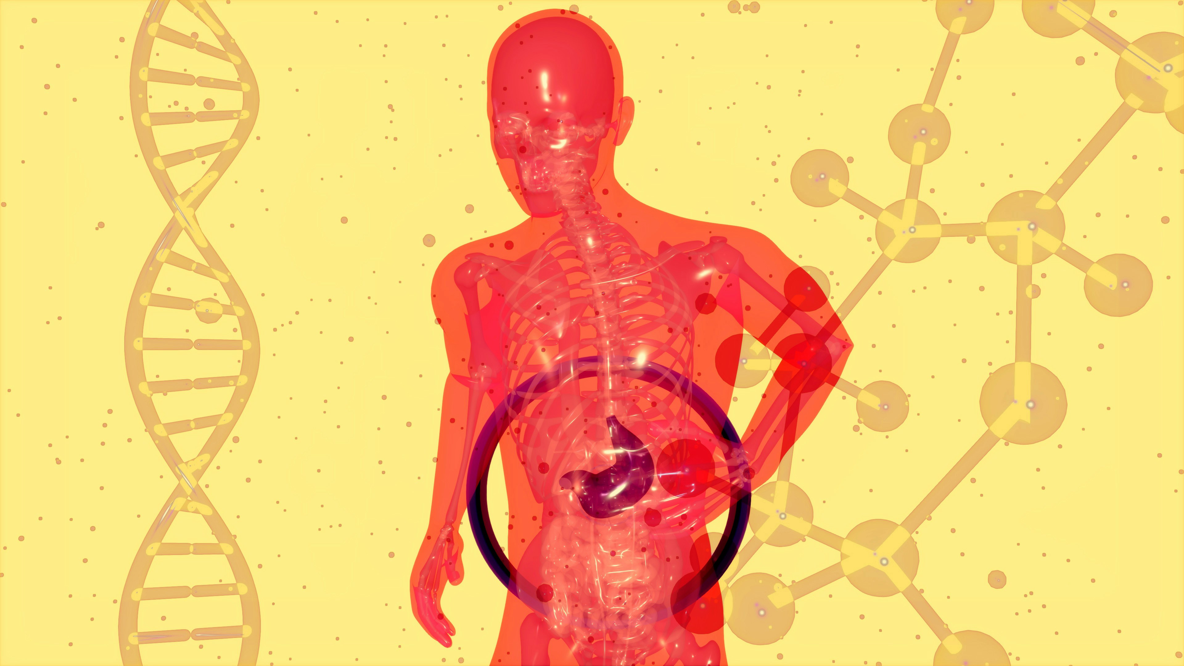 Oxalate-Related Histamine Reactions And Gut Health