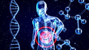 a 3d image of a human with a red circle in his stomach