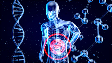 a 3d image of a human with a red circle in his stomach