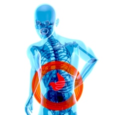 a skeleton with a red circle around it's stomach