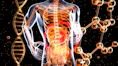 a 3d image of the human body and the structure of the body
