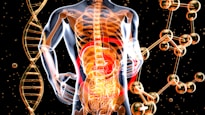 a 3d image of the human body and the structure of the body
