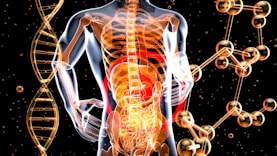 a 3d image of the human body and the structure of the body