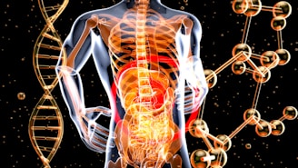 3d image of the human body and the structure of the body