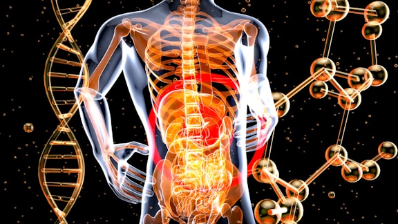 3d image of massage and toxins in the body