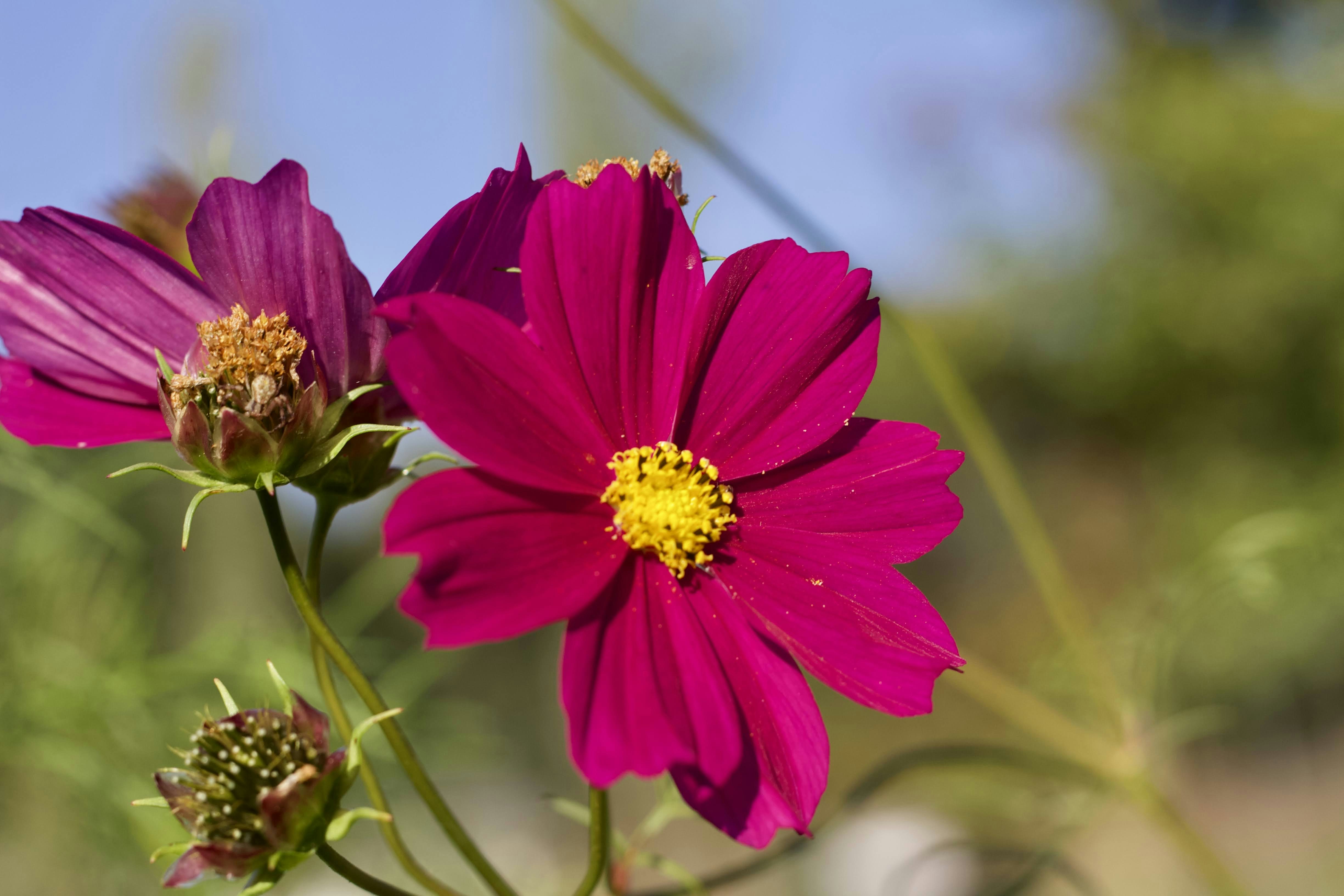 Photo by rogergranquist