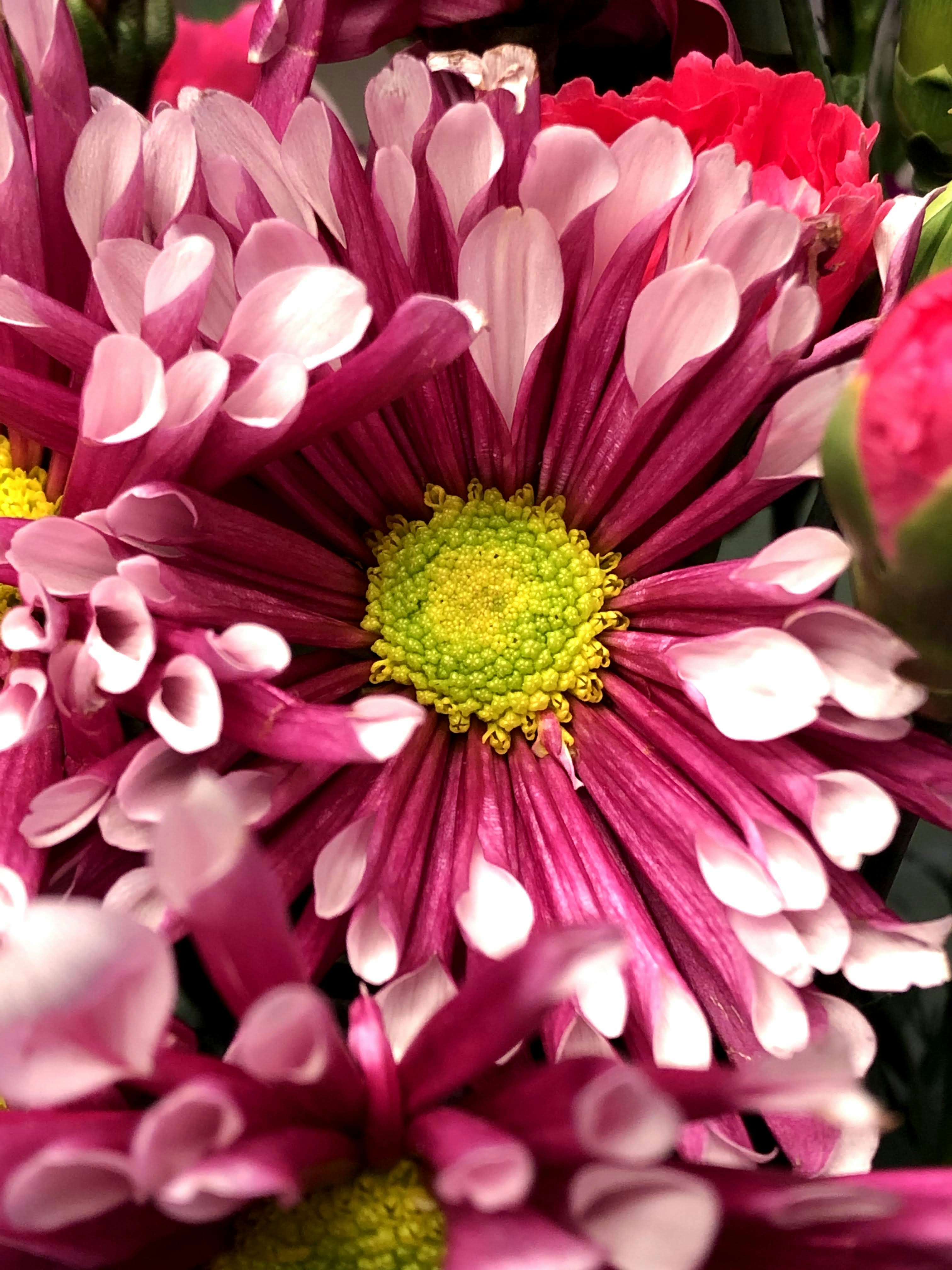 Photo by rogergranquist