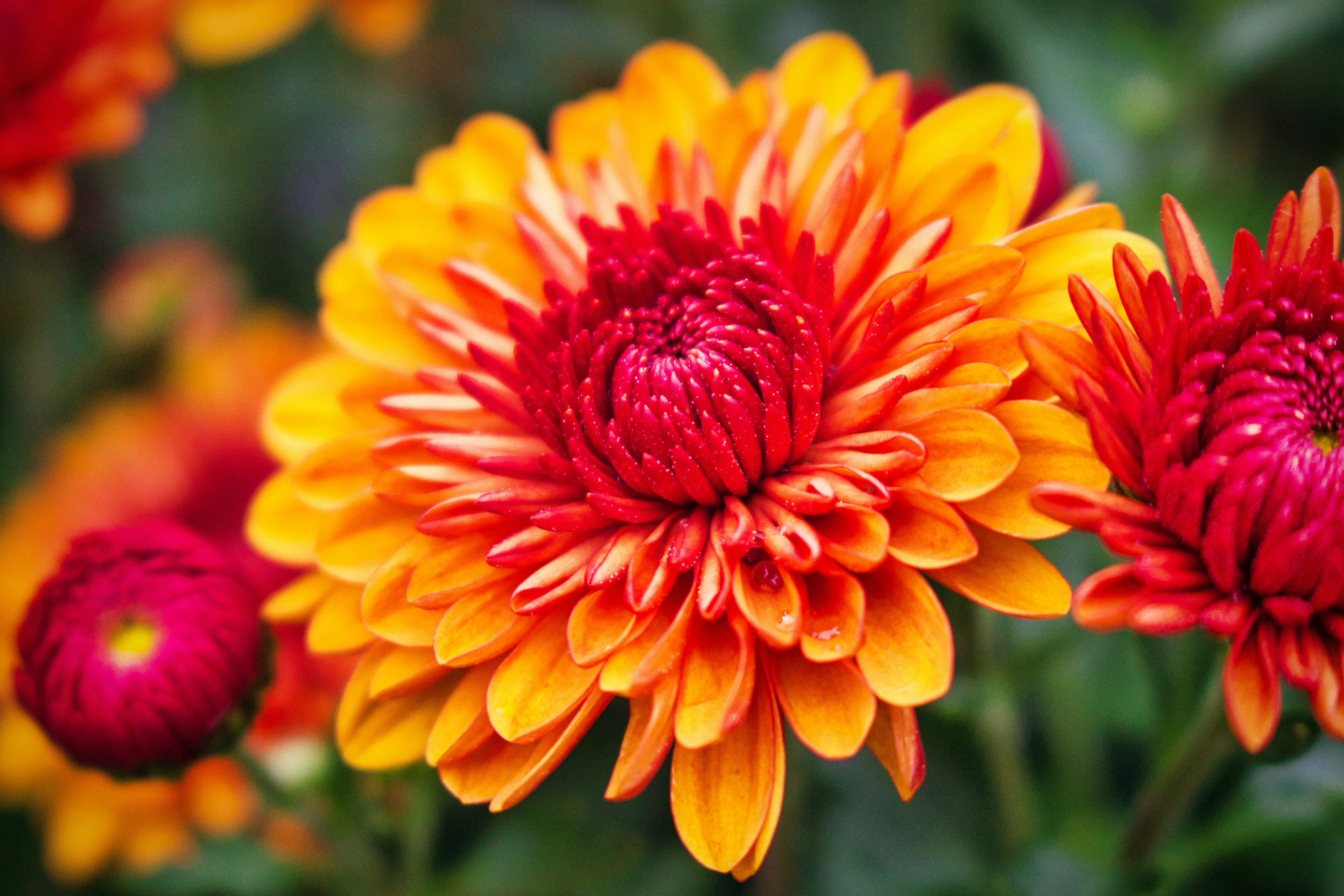 Photo by rogergranquist