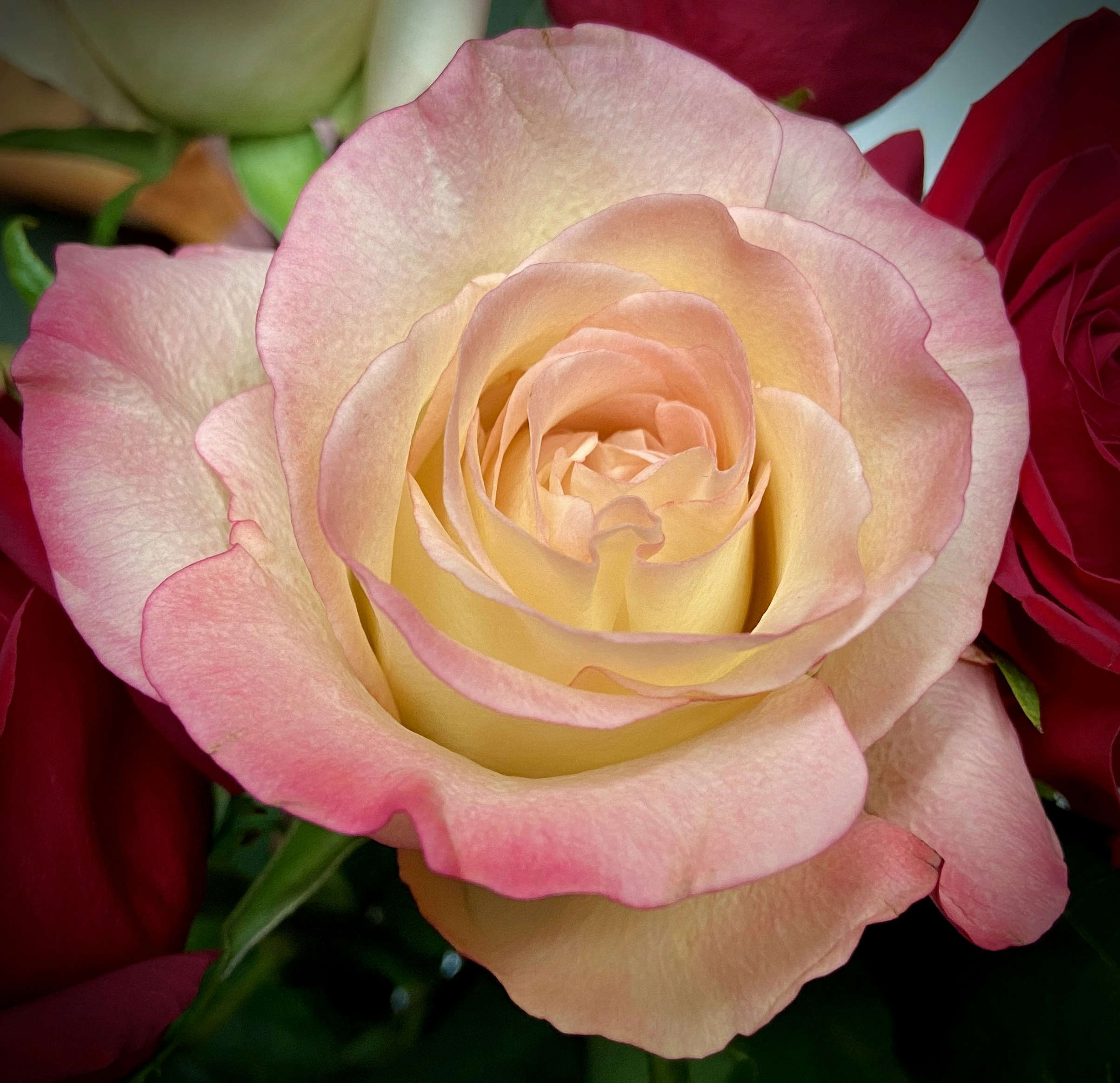 Photo by rogergranquist