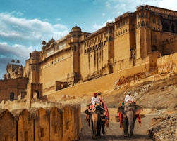 two people riding on the backs of elephants