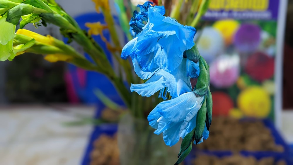 a close up of a vase with flowers in it