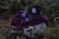 A dark-colored baseball cap with a white embroidered logo is placed on top of a folded maroon hoodie. Next to the hoodie is a pair of round, blue-tinted sunglasses. These items are resting on a blue and white tie-dye patterned bag with zippers. The background consists of green foliage and plants, suggesting an outdoor setting.