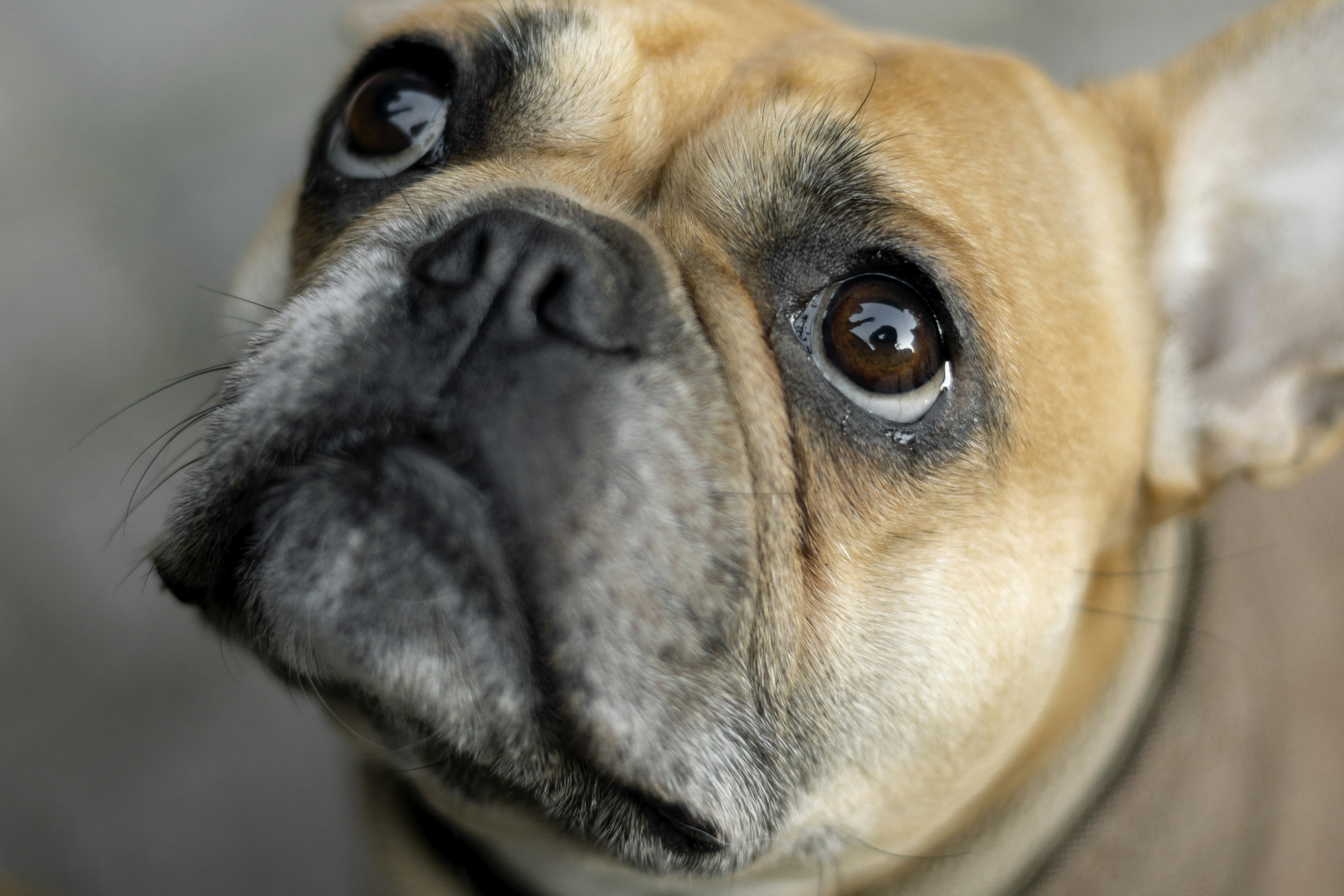 Photo by potegrafendk