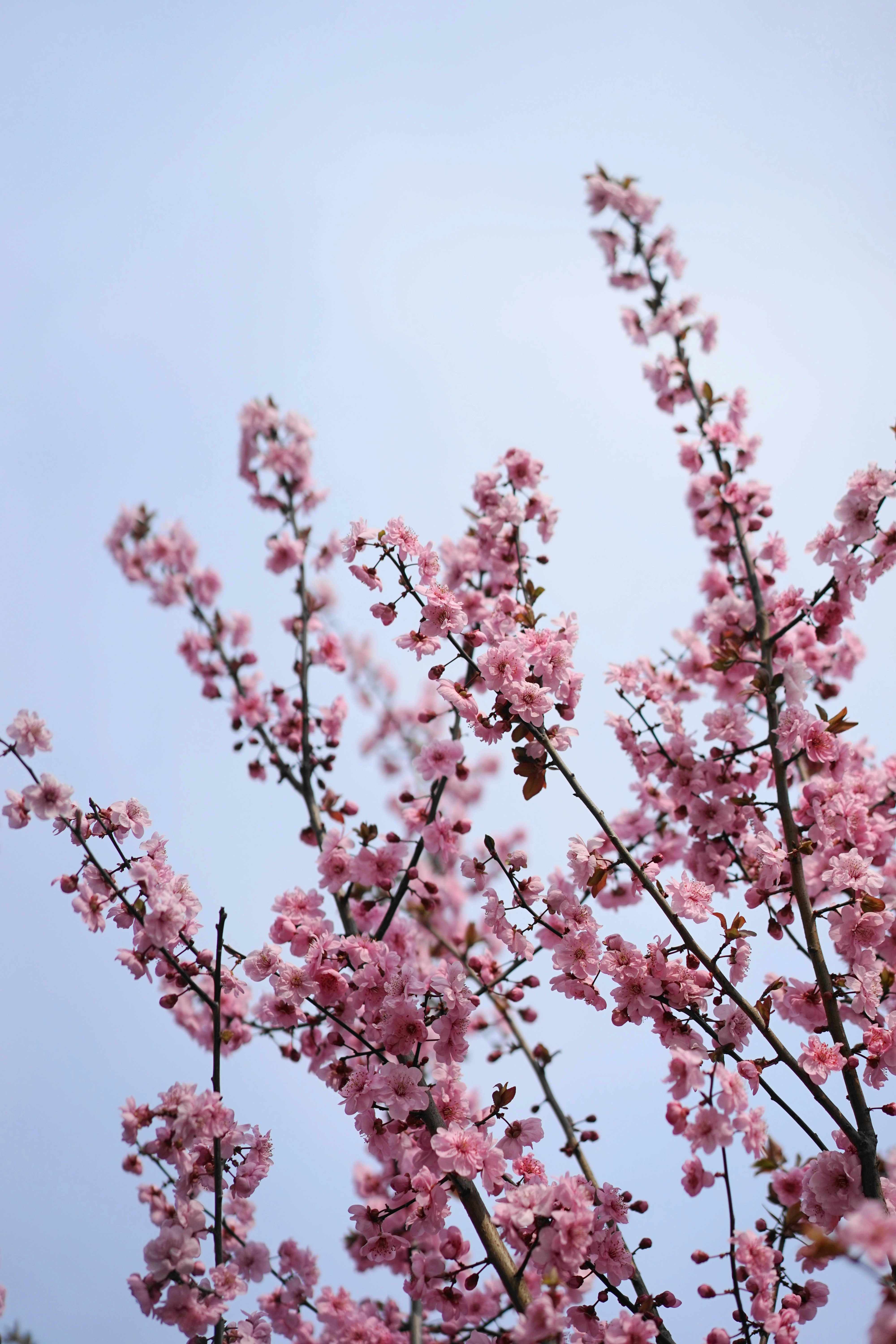 Photo by xiaoyulifish