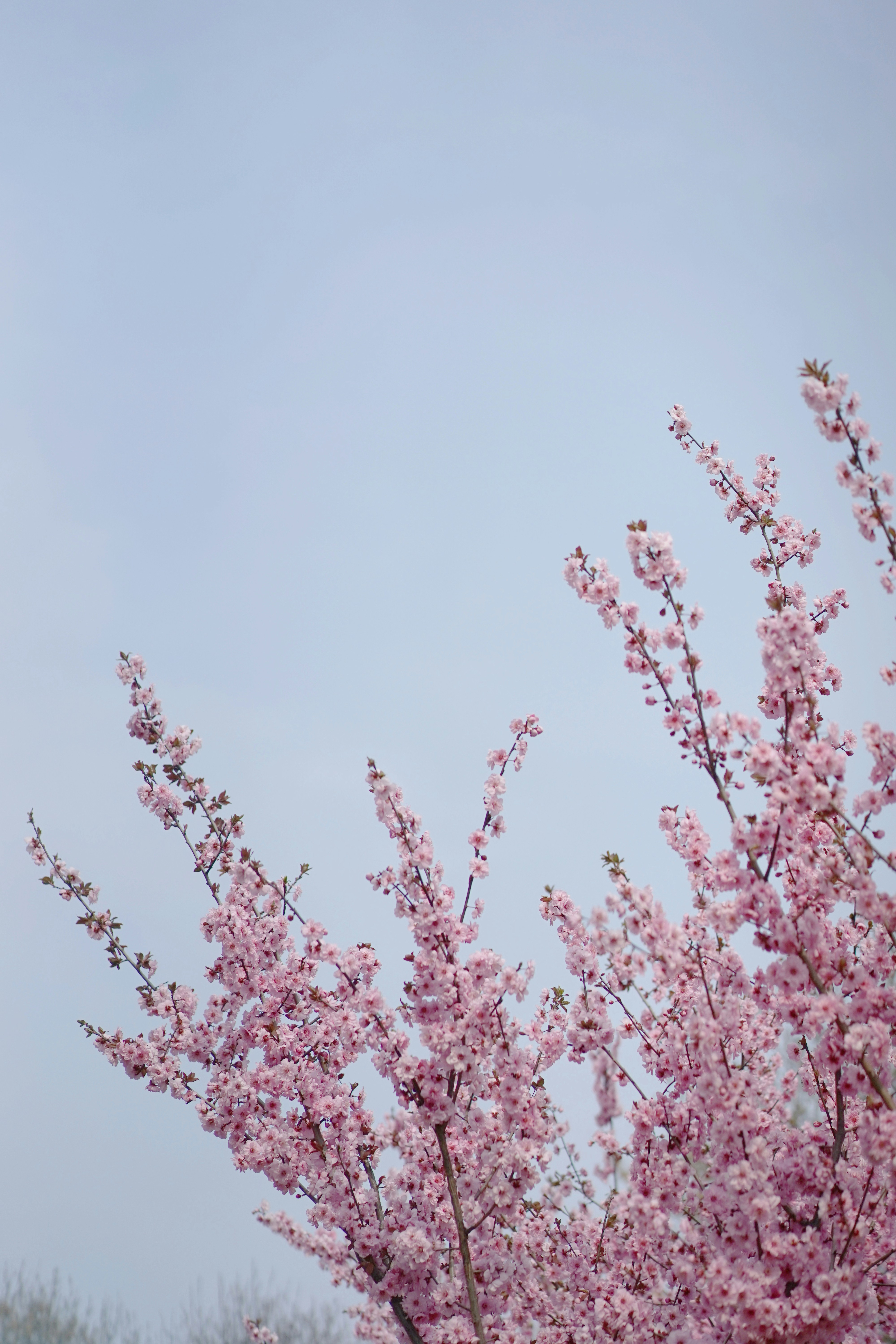 Photo by xiaoyulifish