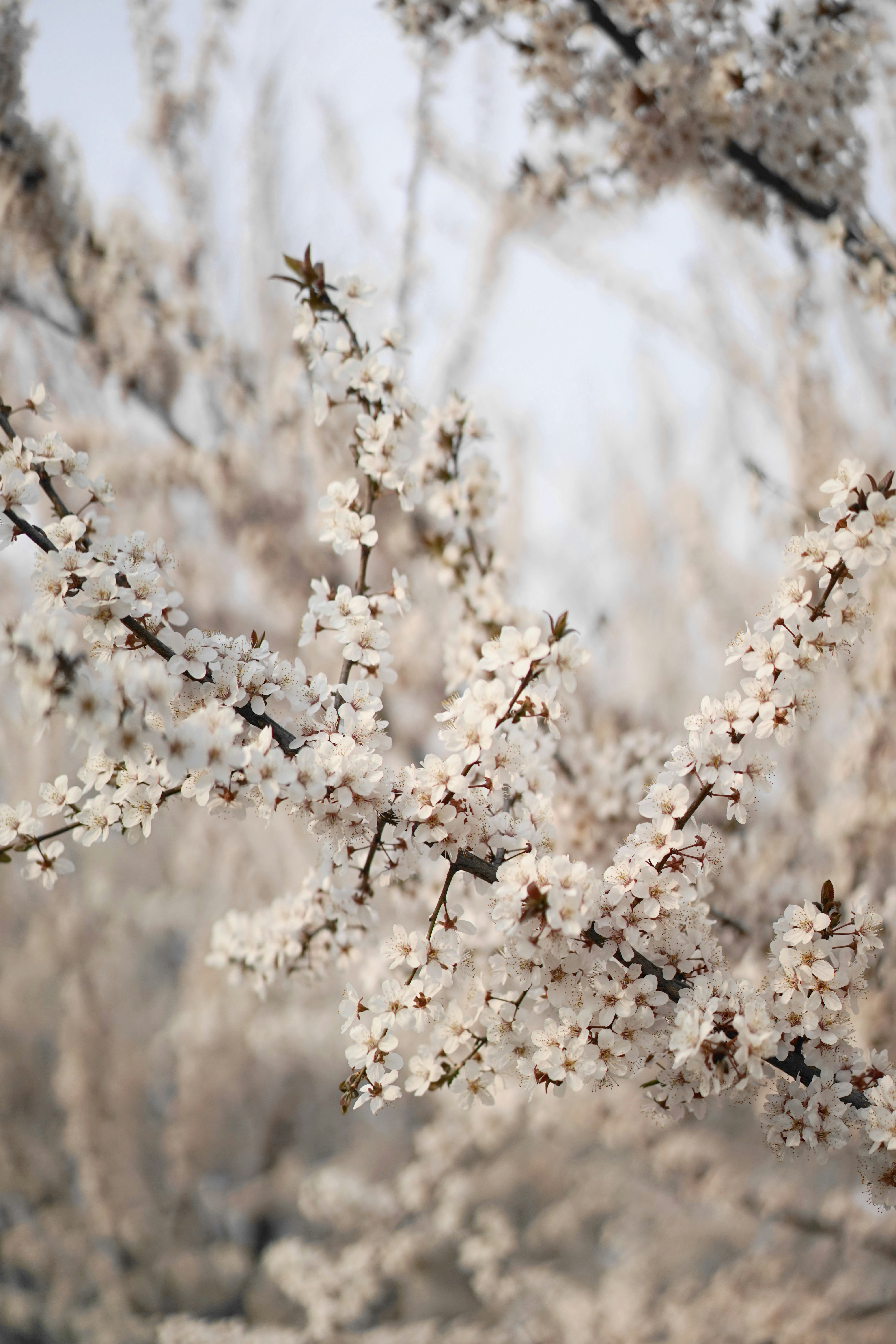 Photo by xiaoyulifish