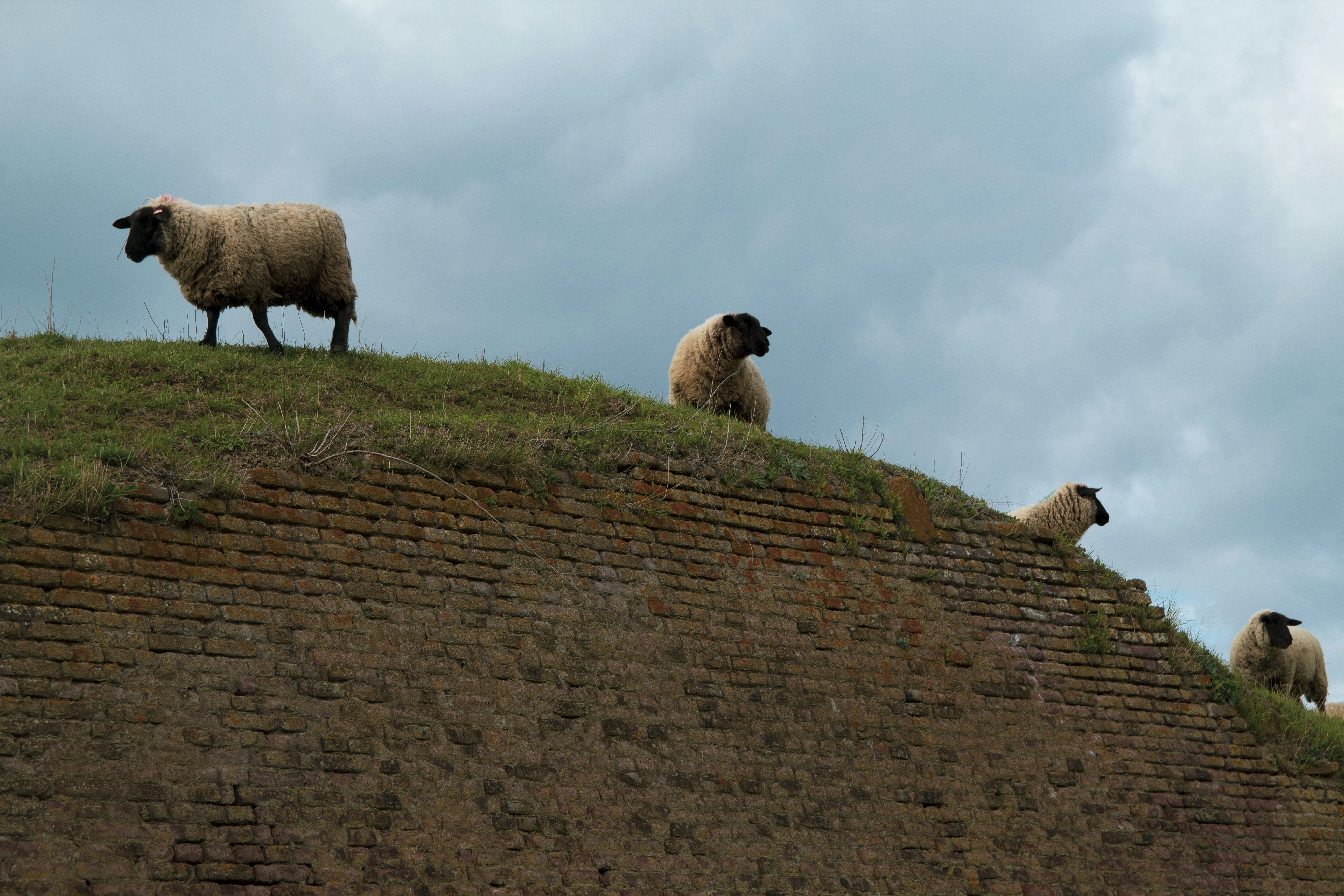 Afbeelding van Maastricht