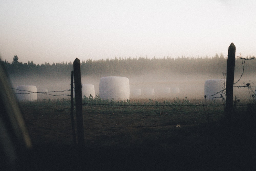 a foggy field with hay bales in the foreground