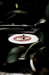 An elegant vinyl record spinning on a turntable with green olive tones in the background.