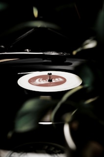 Close-up of a vinyl record spinning on a turntable with soft focus background of a peaceful evening setting.