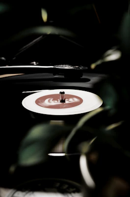An elegant vinyl record spinning on a turntable with green olive tones in the background.