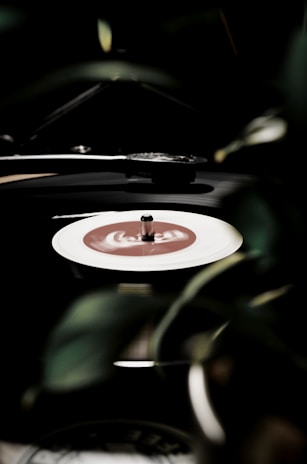 Close-up of a vinyl record spinning on a turntable with soft focus background of a peaceful evening setting.