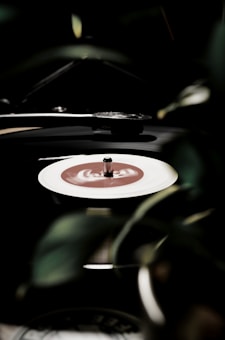 A vinyl record spins on a turntable, with soft focus green leaves partially obscuring the view, creating a moody and nostalgic atmosphere.