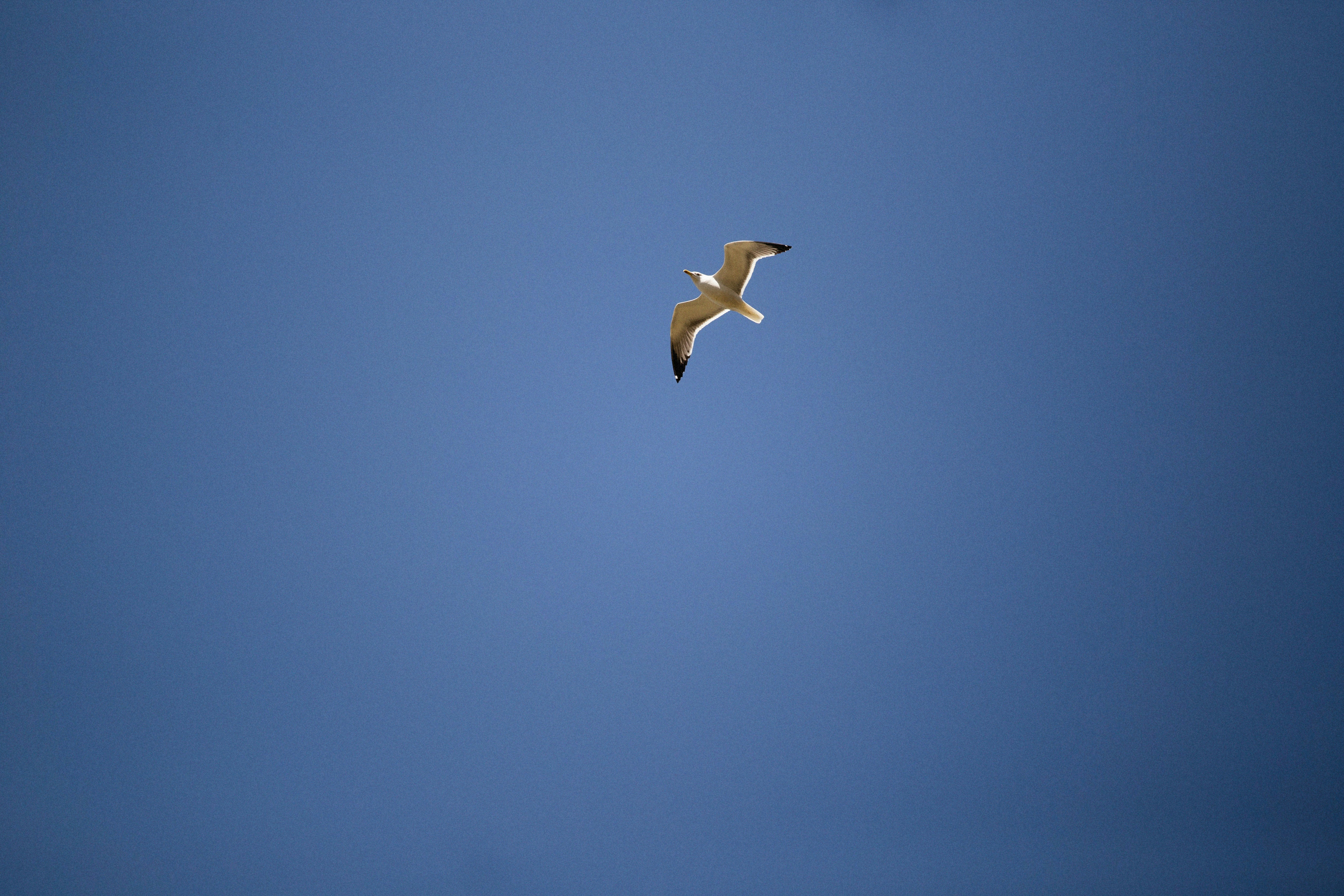 Photo by alexeydemidov