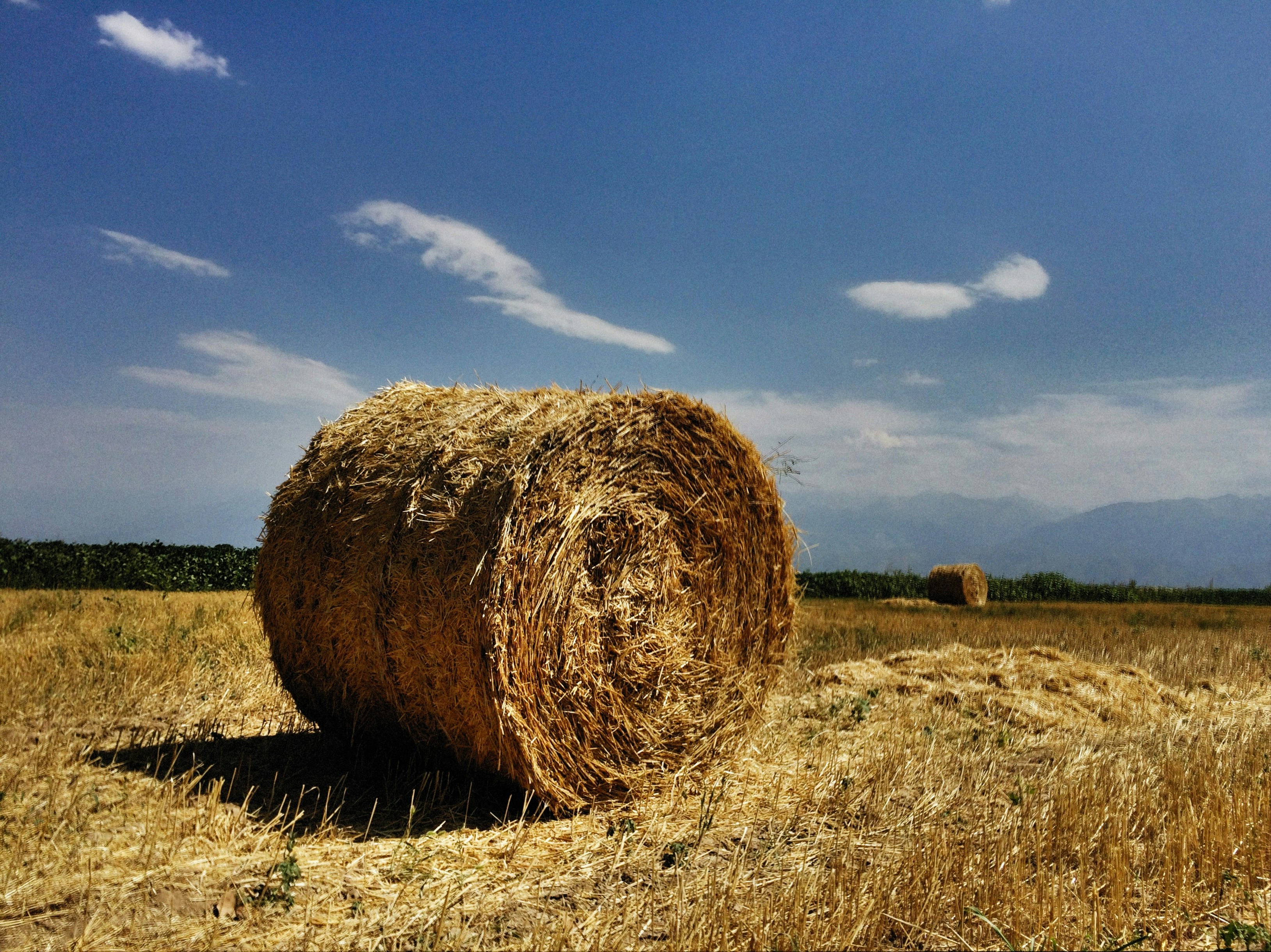 Photo by alexeydemidov