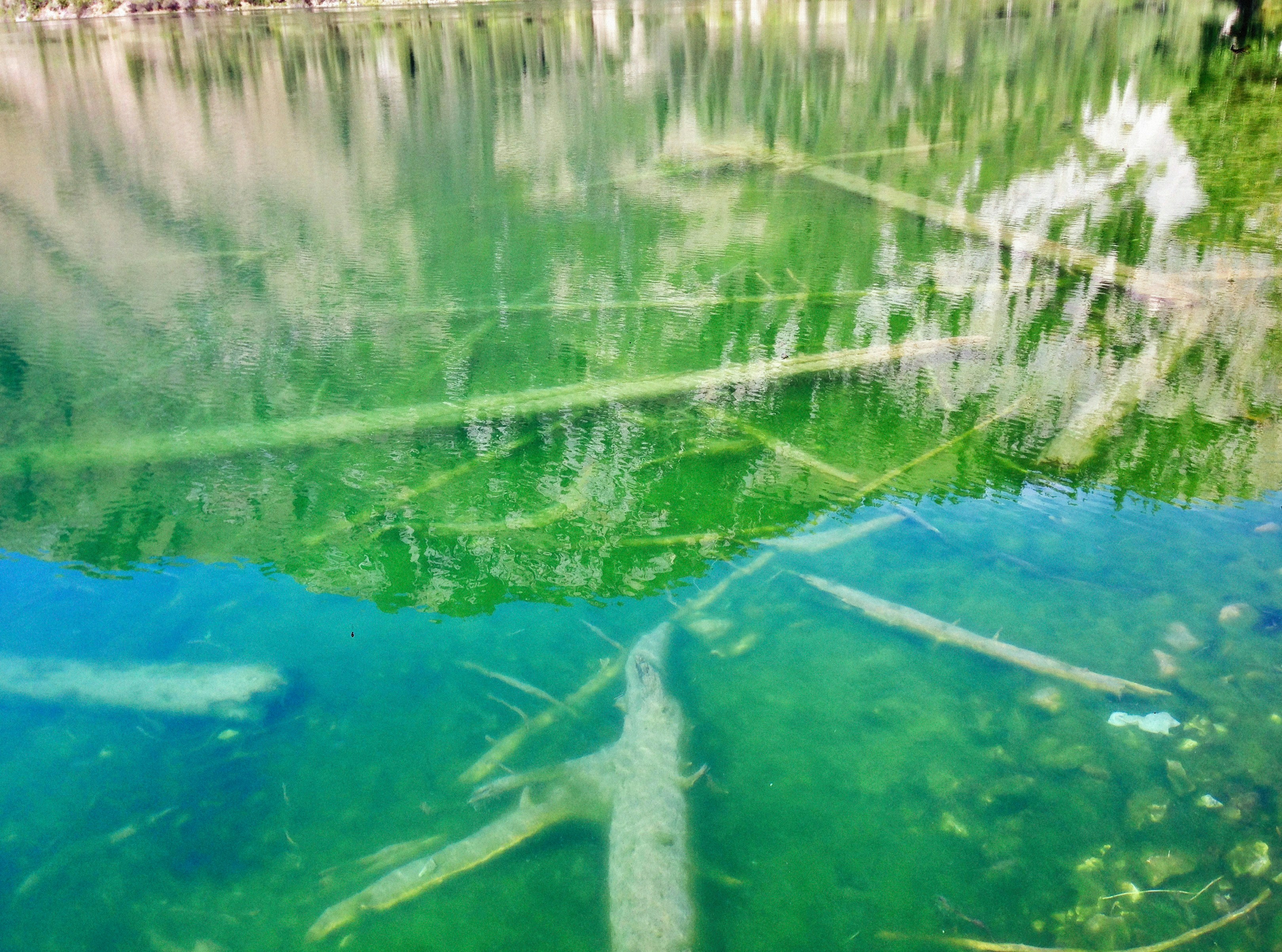 Photo by alexeydemidov