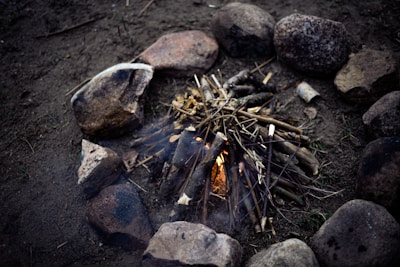 A peaceful natural setting with a small fire circle surrounded by stones.