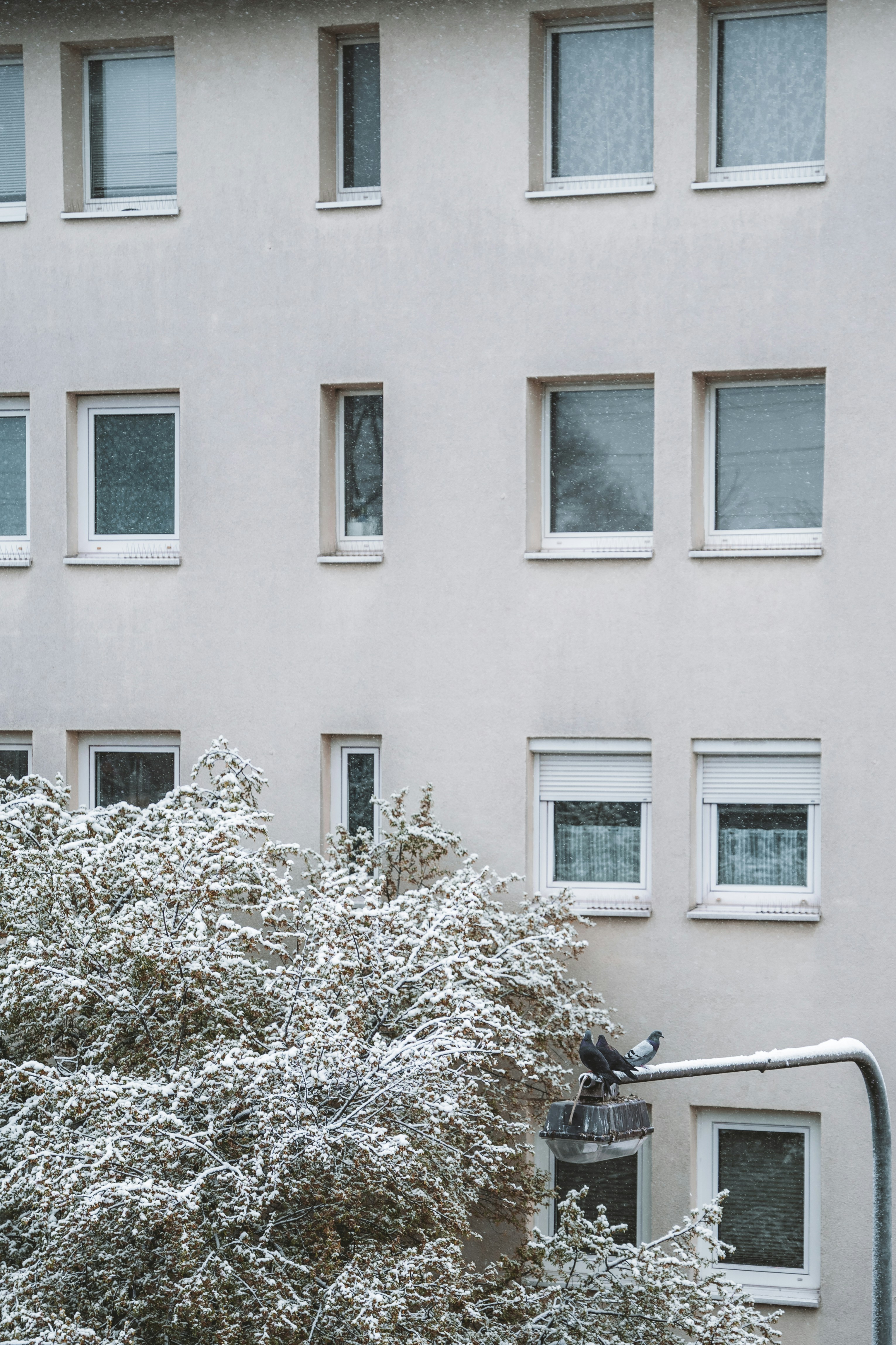 Photo by masoodaslami