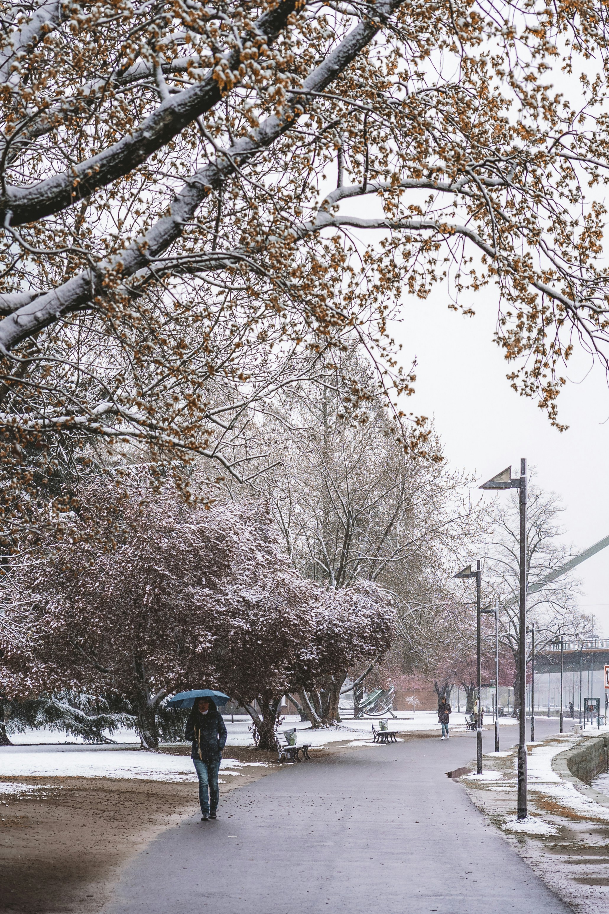 Photo by masoodaslami