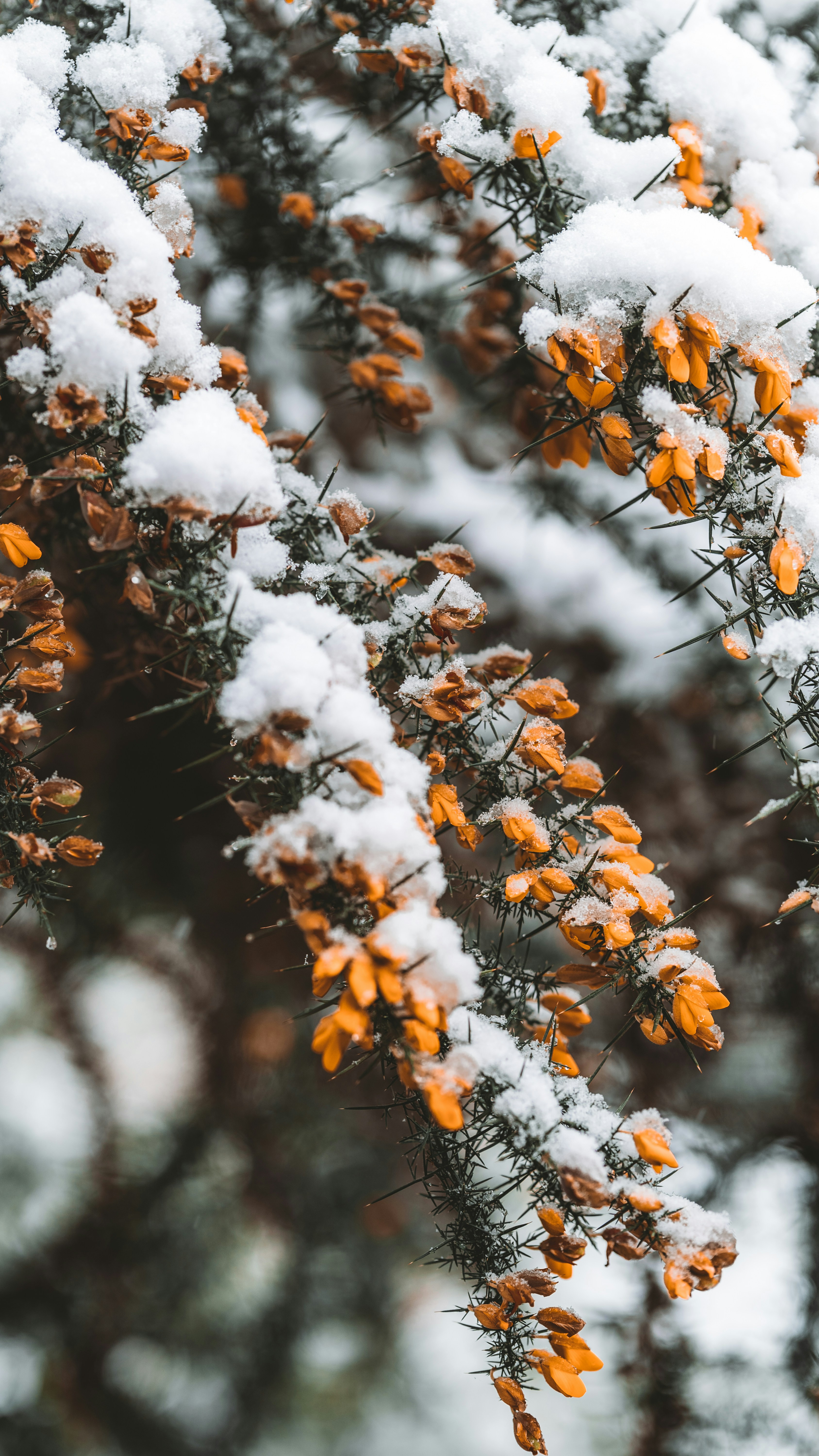 Photo by masoodaslami