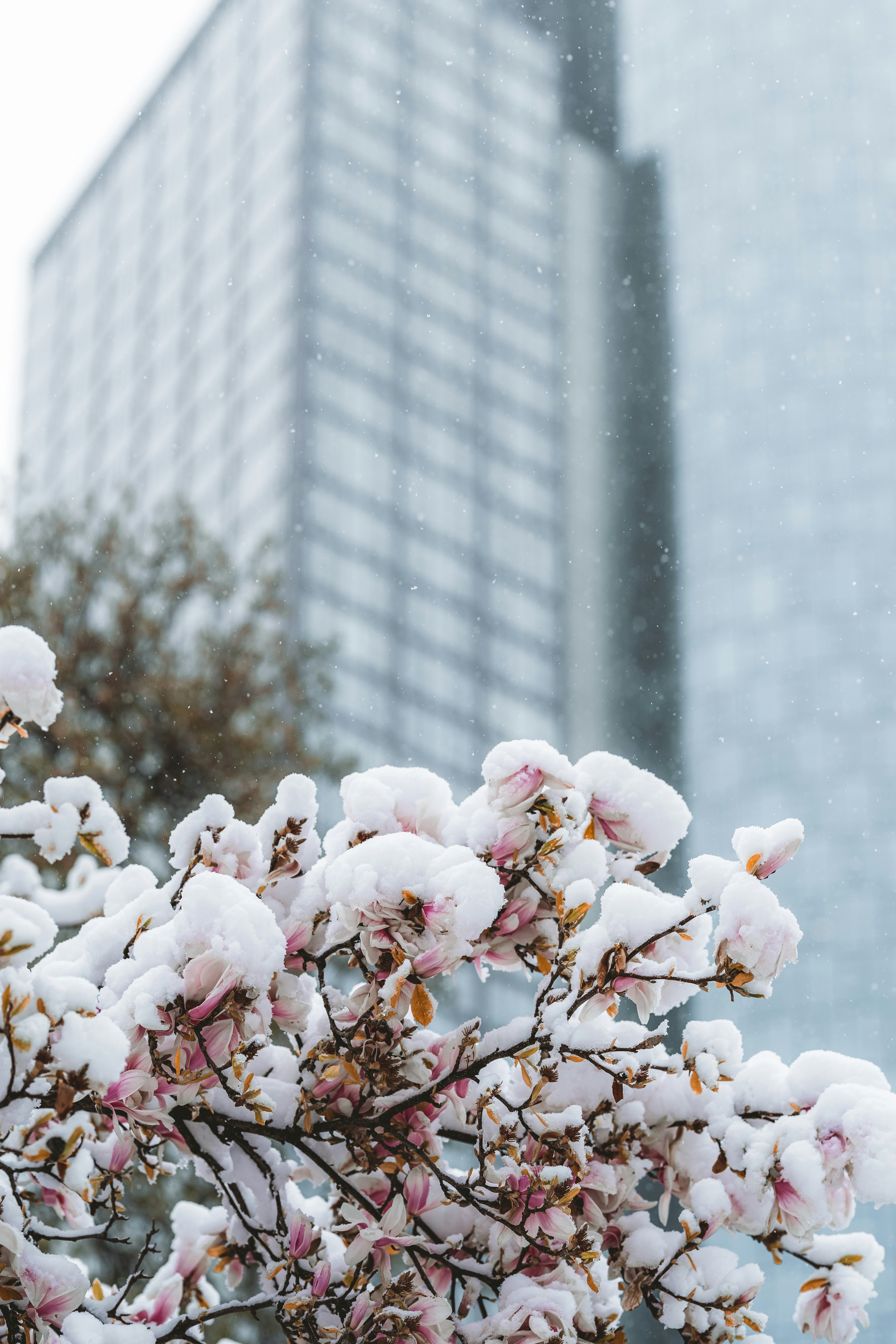 Photo by masoodaslami