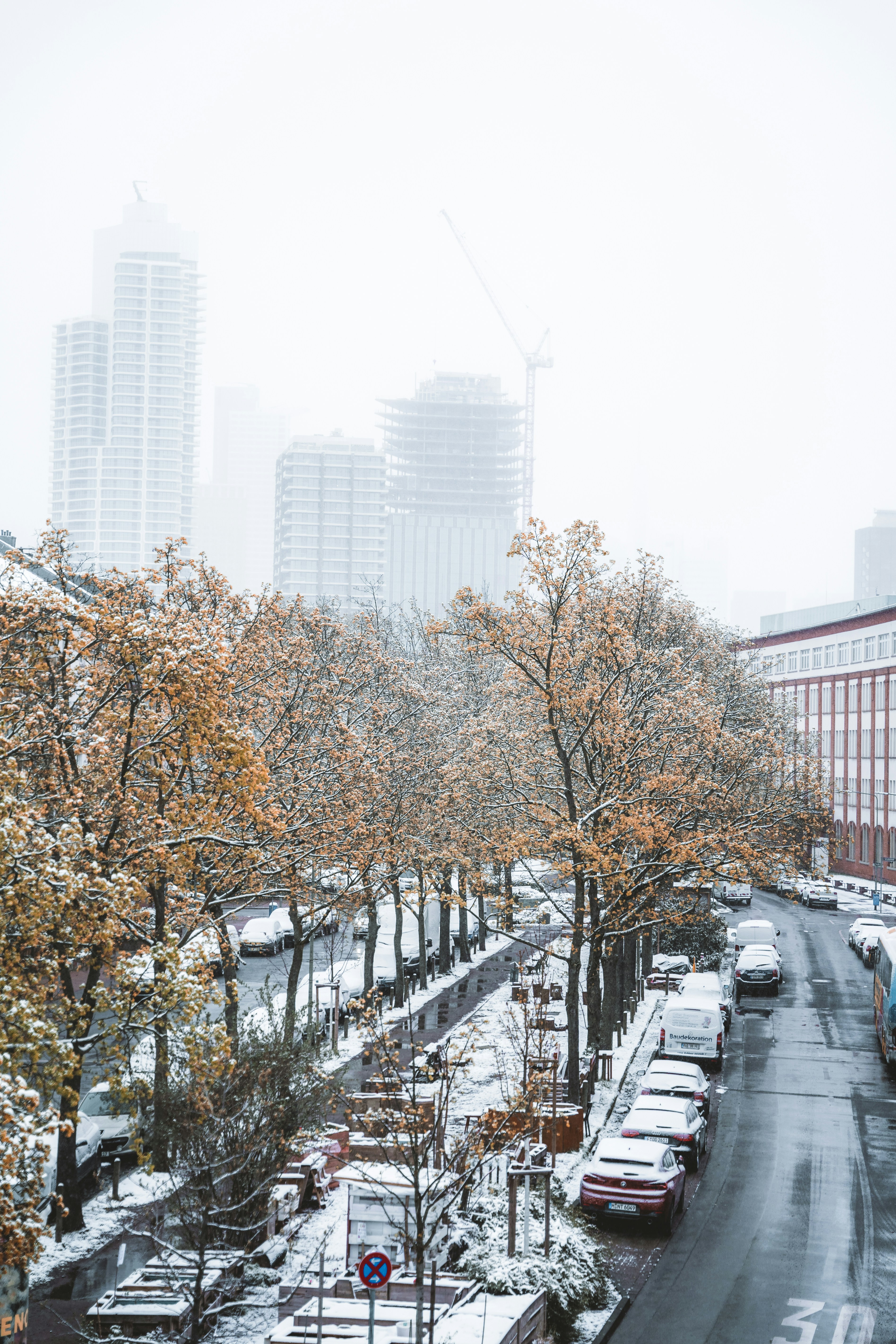 Photo by masoodaslami