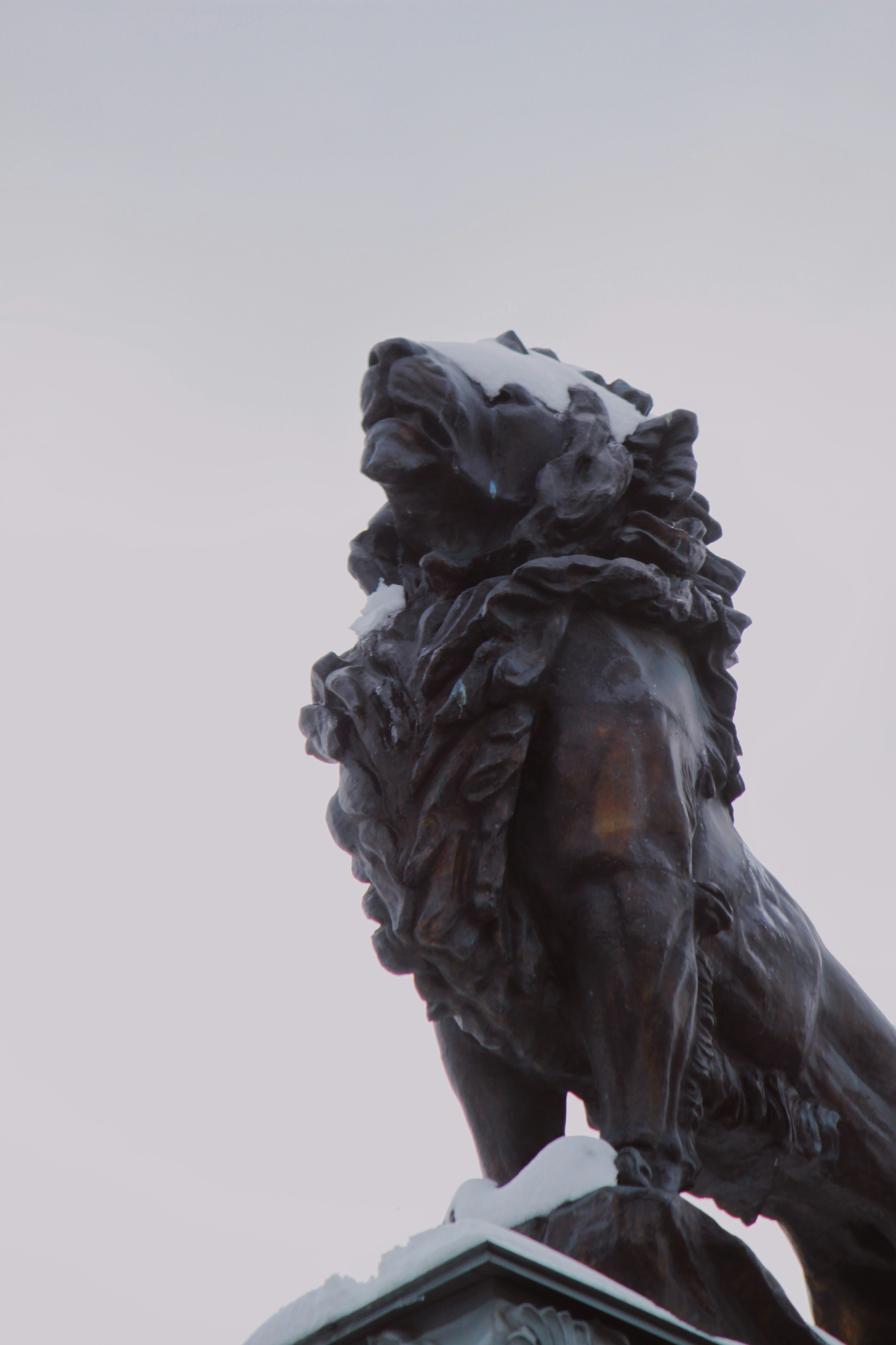 Photo by sesambrotchen